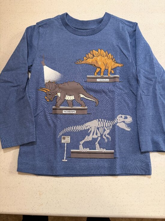 Pekkle Other - Boys 2T Dinosaur Shirt
